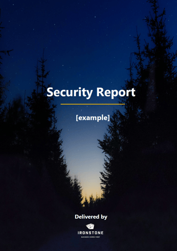 security report example page