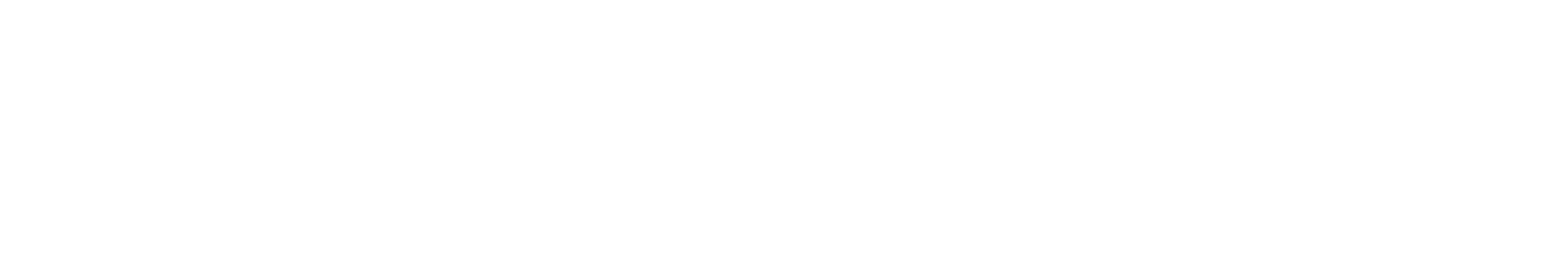 Mestergruppen_logo_hvit-1