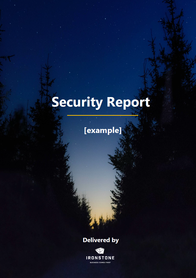 security report example page